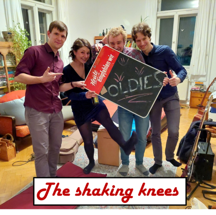 Bandbild: The Shaking Knees